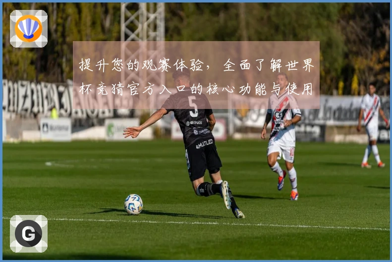 提升您的观赛体验，全面了解世界杯竞猜官方入口的核心功能与使用技巧