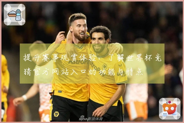 提升赛事观赏体验，了解世界杯竞猜官方网站入口的功能与特点
