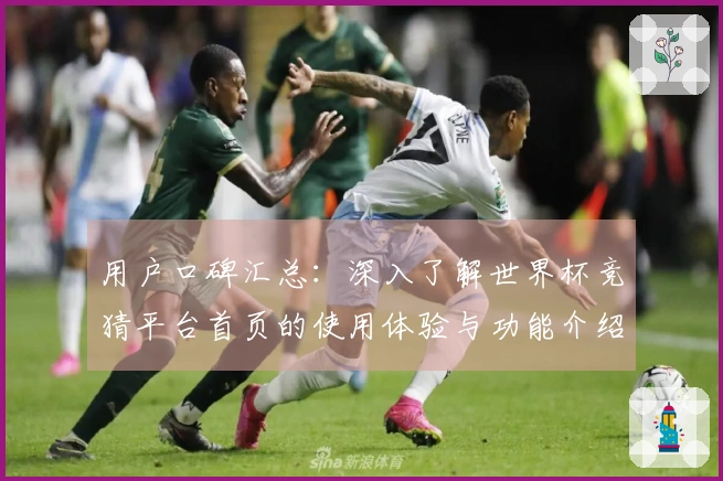 用户口碑汇总：深入了解世界杯竞猜平台首页的使用体验与功能介绍