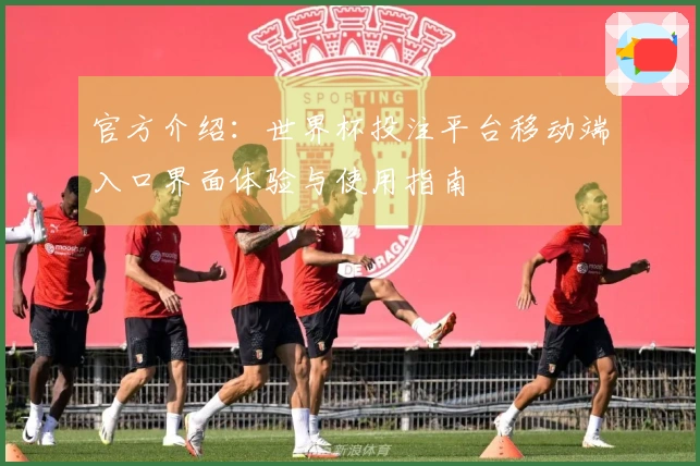官方介绍：世界杯投注平台移动端入口界面体验与使用指南