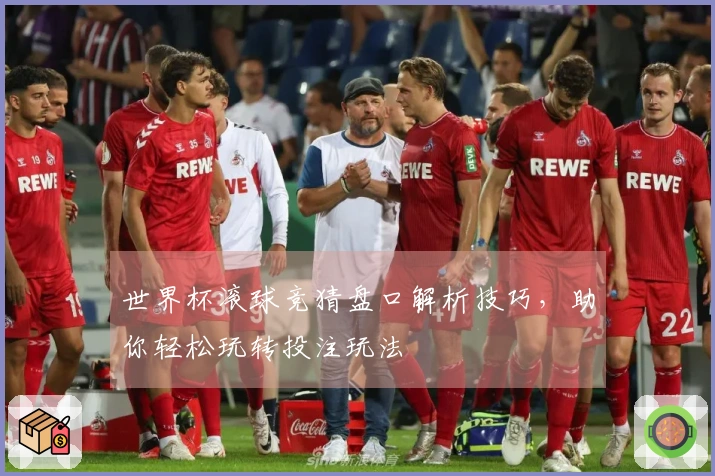 世界杯滚球竞猜盘口解析技巧，助你轻松玩转投注玩法