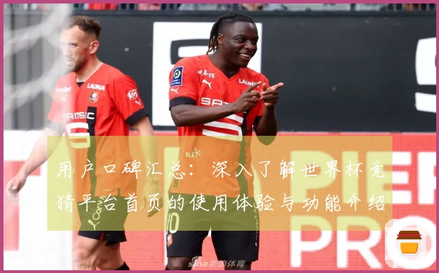 用户口碑汇总：深入了解世界杯竞猜平台首页的使用体验与功能介绍