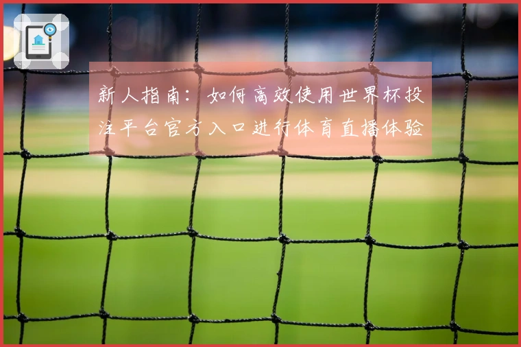 新人指南：如何高效使用世界杯投注平台官方入口进行体育直播体验