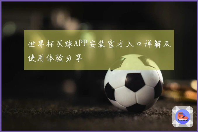 世界杯买球APP安装官方入口详解及使用体验分享