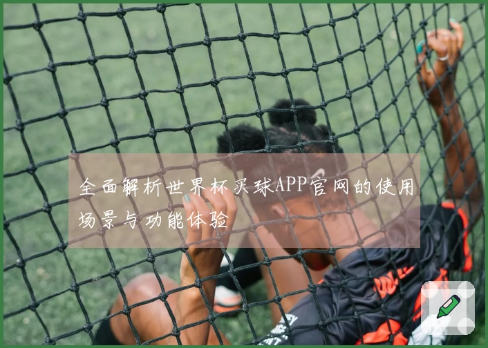 全面解析世界杯买球APP官网的使用场景与功能体验