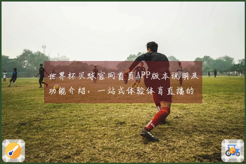 世界杯买球官网首页APP版本说明及功能介绍，一站式体验体育直播的理想选择
