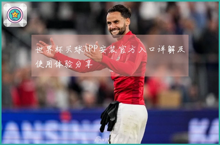 世界杯买球APP安装官方入口详解及使用体验分享