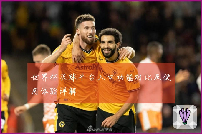 世界杯买球平台入口功能对比及使用体验详解