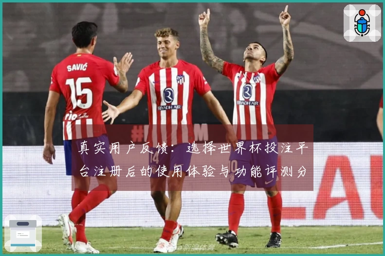 真实用户反馈：选择世界杯投注平台注册后的使用体验与功能评测分享