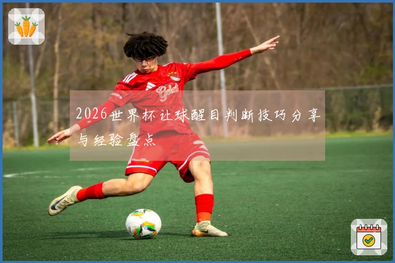 2026世界杯让球醒目判断技巧分享与经验盘点